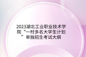 2023湖北工業(yè)職業(yè)技術學院“一村多名大學生計劃”單獨招生考試大綱