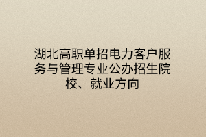 湖北高職單招電力客戶服務(wù)與管理專業(yè)公辦招生院校、就業(yè)方向