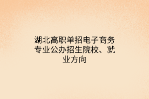 湖北高職單招電子商務專業(yè)公辦招生院校、就業(yè)方向