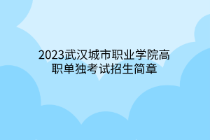 2023武漢城市職業(yè)學院高職單獨考試招生簡章