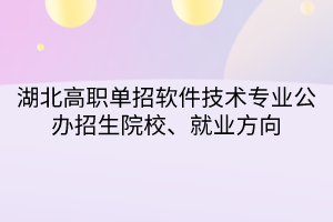 湖北高職單招軟件技術(shù)專業(yè)公辦招生院校、就業(yè)方向