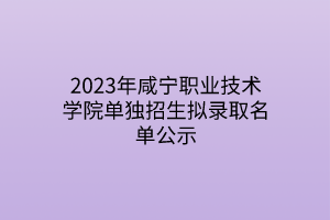 2023年咸寧職業(yè)技術(shù)學(xué)院單獨(dú)招生擬錄取名單公示