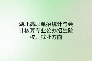 湖北高職單招統(tǒng)計與會計核算專業(yè)公辦招生院校、就業(yè)方向