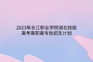 2023年長江職業(yè)學(xué)院湖北技能高考高職高專批招生計(jì)劃