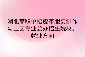 湖北高職單招皮革服裝制作與工藝專業(yè)公辦招生院校、就業(yè)方向