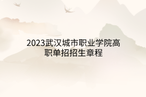 2023武漢城市職業(yè)學院高職單招招生章程