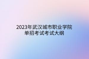 2023年武漢城市職業(yè)學(xué)院單招考試考試大綱