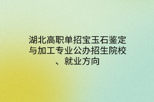 湖北高職單招寶玉石鑒定與加工專業(yè)公辦招生院校、就業(yè)方向