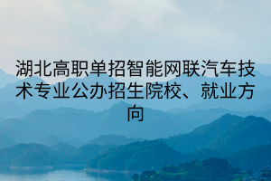 湖北高職單招智能網(wǎng)聯(lián)汽車技術(shù)專業(yè)