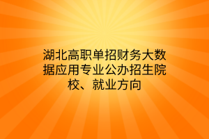 湖北高職單招財(cái)務(wù)大數(shù)據(jù)應(yīng)用專業(yè)公辦招生院校、就業(yè)方向