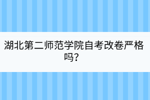 湖北第二師范學(xué)院自考改卷嚴(yán)格嗎？