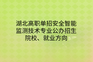 湖北高職單招安全智能監(jiān)測(cè)技術(shù)專業(yè)公辦招生院校、就業(yè)方向