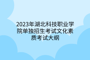 2023年湖北科技職業(yè)學(xué)院單獨招生考試文化素質(zhì)考試大綱