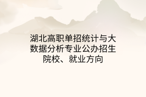 湖北高職單招統(tǒng)計與大數(shù)據(jù)分析專業(yè)公辦招生院校、就業(yè)方向