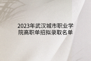 2023年武漢城市職業(yè)學(xué)院高職單招擬錄取名單