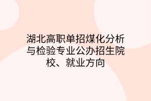 湖北高職單招煤化分析與檢驗(yàn)專業(yè)公辦招生院校、就業(yè)方向