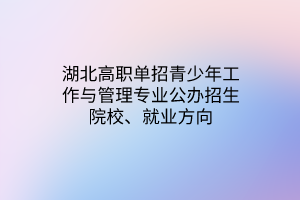 湖北高職單招青少年工作與管理專業(yè)公辦招生院校、就業(yè)方向