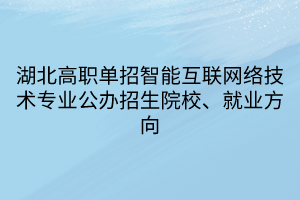 湖北高職單招智能互聯(lián)網(wǎng)絡(luò)技術(shù)專業(yè)公辦招生院校、就業(yè)方向