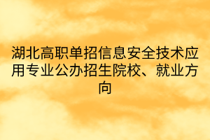 湖北高職單招信息安全技術(shù)應(yīng)用專業(yè)公辦招生院校、就業(yè)方向