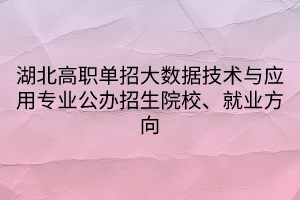 湖北高職單招大數(shù)據(jù)技術(shù)與應(yīng)用專業(yè)公辦招生院校、就業(yè)方向