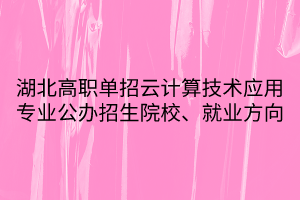 湖北高職單招云計算技術(shù)應(yīng)用專業(yè)公辦招生院校、就業(yè)方向