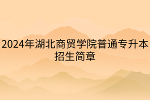 2024年湖北商貿(mào)學(xué)院普通專升本招生簡(jiǎn)章(1)