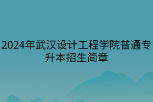 2024年武漢設(shè)計工程學(xué)院普通專升本招生簡章(2)