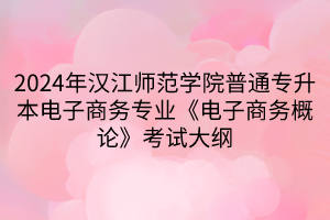 2024年漢江師范學(xué)院普通專升本電子商務(wù)專業(yè)《電子商務(wù)概論》考試大綱(1)