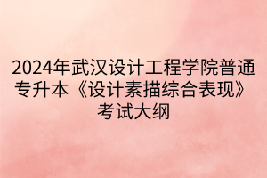 2024年武漢設(shè)計(jì)工程學(xué)院普通專升本《設(shè)計(jì)素描綜合表現(xiàn)》考試大綱(1)