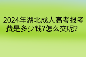 默認標題__2024-04-2309_31_13