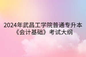 2024年武昌工學(xué)院普通專升本《會(huì)計(jì)基礎(chǔ)》考試大綱(1)