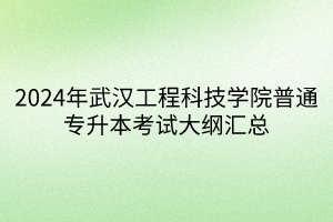 2024年武漢工程科技學(xué)院普通專升本考試大綱匯總(1)