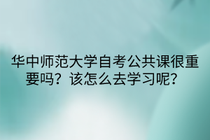 華中師范大學自考公共課很重要嗎？該怎么去學習呢？