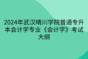 2024年武漢晴川學(xué)院普通專升本會(huì)計(jì)學(xué)專業(yè)《會(huì)計(jì)學(xué)》考試大綱(1)