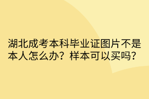 湖北成考本科畢業(yè)證圖片不是本人怎么辦？樣本可以買嗎？