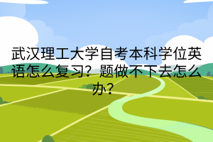 武漢理工大學(xué)自考本科學(xué)位英語(yǔ)怎么復(fù)習(xí)？題做不下去怎么辦？