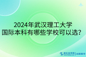 2024年武漢理工大學(xué)國際本科有哪些學(xué)?？梢赃x？