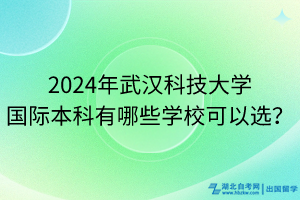 2024年武漢科技大學(xué)國(guó)際本科有哪些學(xué)?？梢赃x？