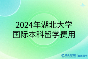 2024年湖北大學(xué)國際本科留學(xué)費用