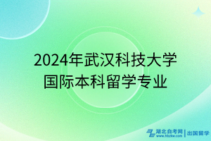 2024年武漢科技大學(xué)國(guó)際本科留學(xué)專業(yè)