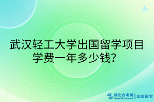 武漢輕工大學(xué)出國留學(xué)項(xiàng)目學(xué)費(fèi)一年多少錢？