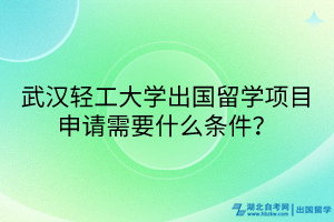 武漢輕工大學(xué)出國(guó)留學(xué)項(xiàng)目申請(qǐng)需要什么條件？