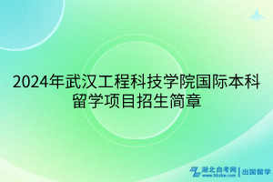 2024年武漢工程科技學院國際本科留學項目招生簡章