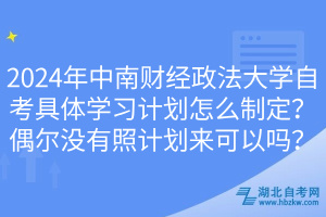 2024年中南財(cái)經(jīng)政法大學(xué)自考具體學(xué)習(xí)計(jì)劃怎么制定？偶爾沒有照計(jì)劃來可以嗎？