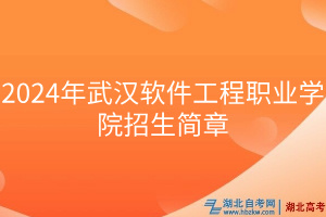 2024年武漢軟件工程職業(yè)學院招生簡章