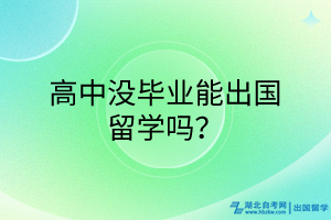 高中沒畢業(yè)能出國留學(xué)嗎？