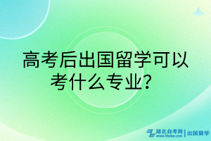 高考后出國(guó)留學(xué)可以考什么專業(yè)？