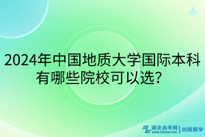 2024年中國地質(zhì)大學(xué)國際本科有哪些院?？梢赃x？