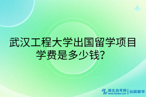 武漢工程大學(xué)出國(guó)留學(xué)項(xiàng)目學(xué)費(fèi)是多少錢？