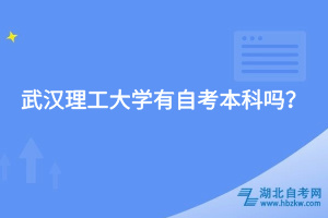 武漢理工大學(xué)有自考本科嗎？